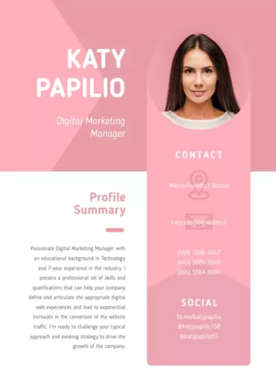 Professional Marketing Manager profile Modern Resume Creator