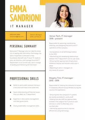 IT Manager professional skills and experience Resume Builder