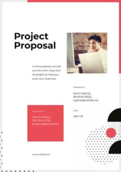 Business Project development services offer Proposals