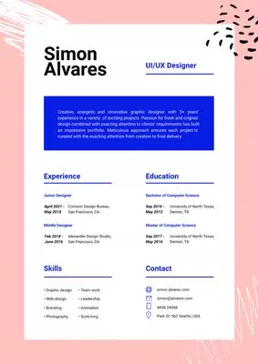 Web Designer skills and experience Resume Builder