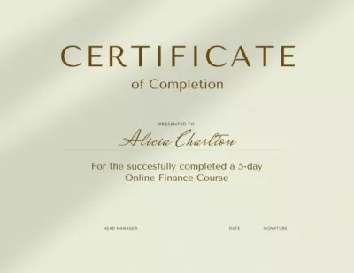 Online Finance Course completion Certificates