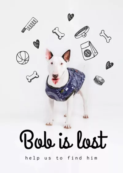 Lost Dog information with cute Bull Terrier Lost Dog Flyers