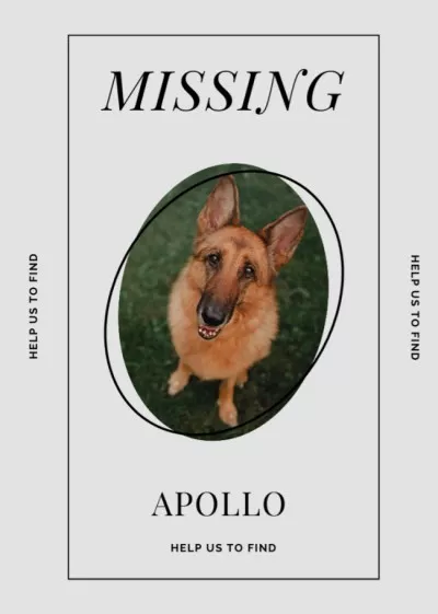 Lost Dog information with German Shepherd Lost Dog Flyers