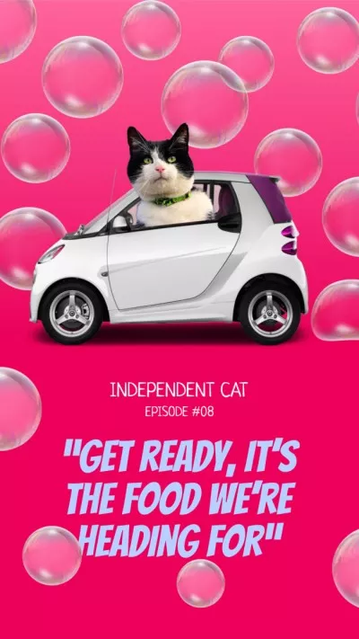 Funny Cat in car riding in bubbles