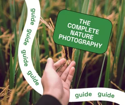 Photography Guide with Hand in Wheat Field