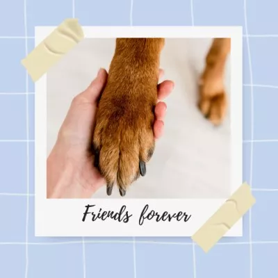 Cute Dog's Paw in Hand