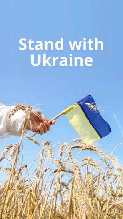Understanding of the Conflict in Ukraine