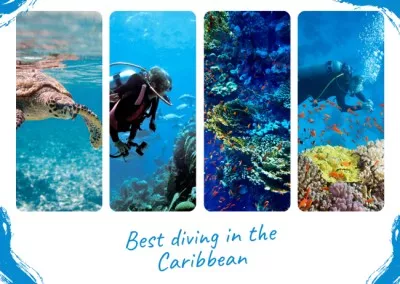 Scuba Diving Ad with Beautiful Reef Postcards