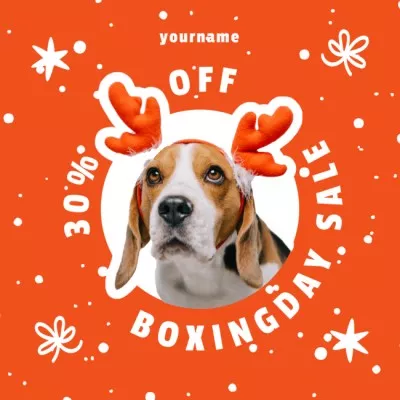 Pet Shop Discounts on Boxing Day
