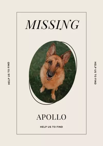 Announcement about Missing Nice Dog Missing Posters