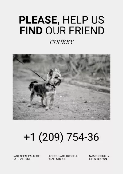 Announcement about Missing Puppy Missing Posters