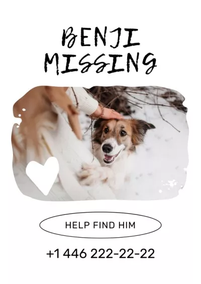 Announcement about Missing Cute Dog Missing Posters