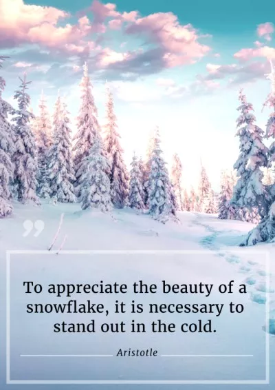 Citation about Beauty of Snowflake Quote Posters