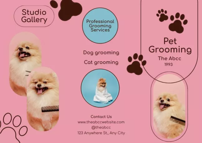 Pet Grooming Promotion