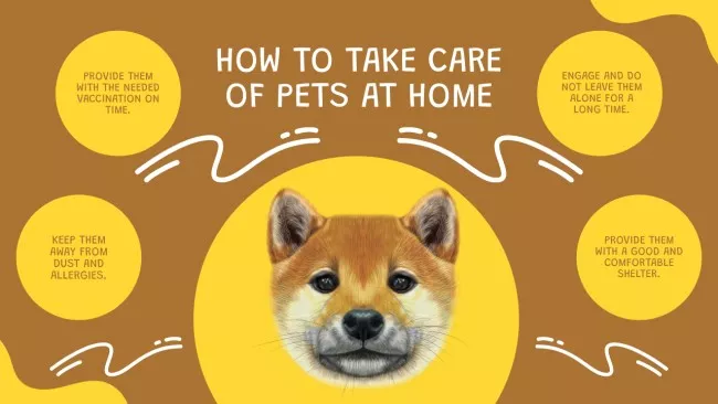 Animal Care at Home Guide