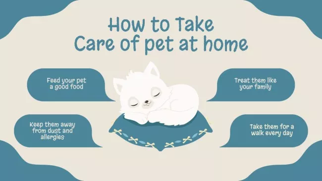How to Take Care of Pet at Home