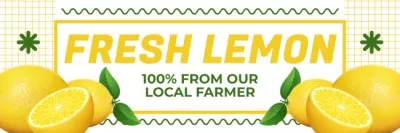 Offer of Fresh Local Lemons Email Headers