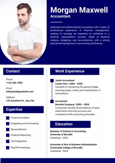 Skills and Experience of Accountant Resume Builder