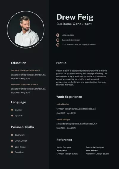 Skills and Experience of Business Consultant Resume Builder