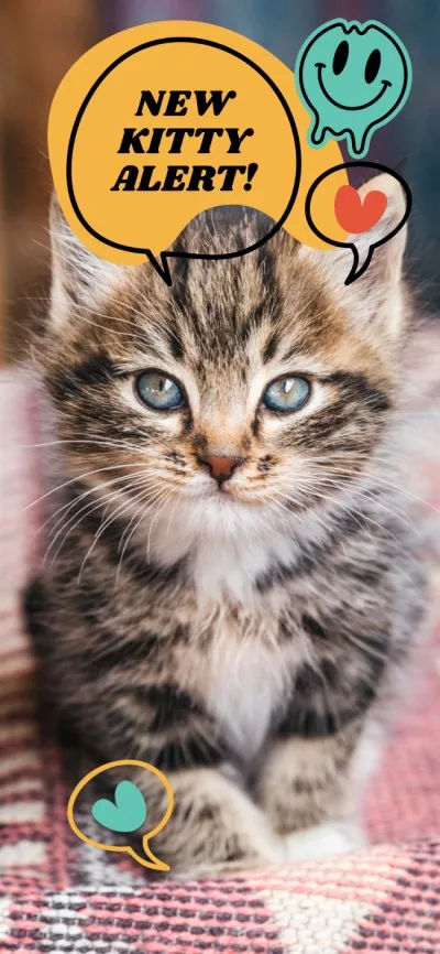 Cute Kitty Of European Shorthair Promotion Snapchat Geofilter
