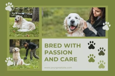 Pet Breeders Vision Boards