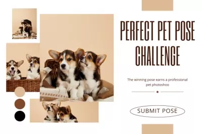 Perfect Pet Pose Challenge Vision Boards