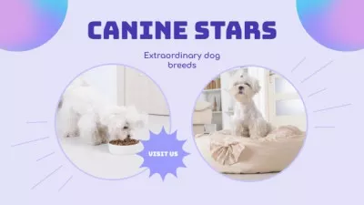 Pet Breeders Animated Graphics