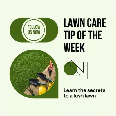 Essential Lawn Care Tips Display Ads